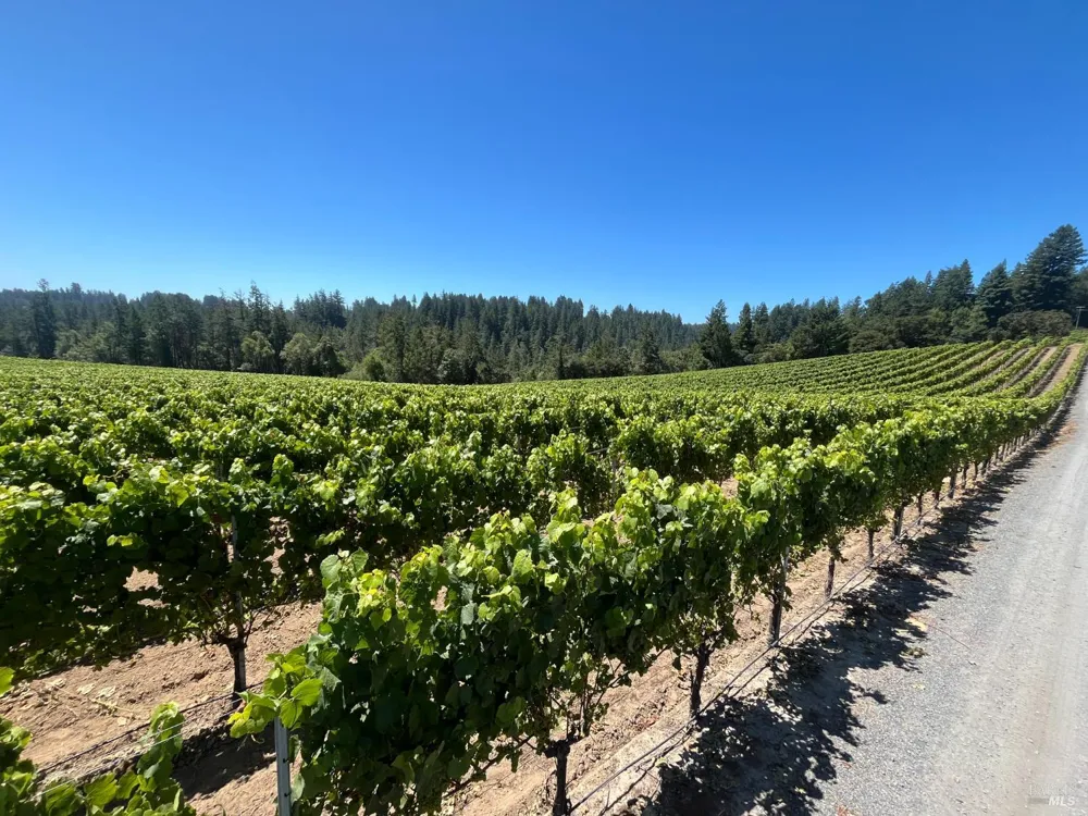 11480 Graton Road Sebastopol, CA 95472