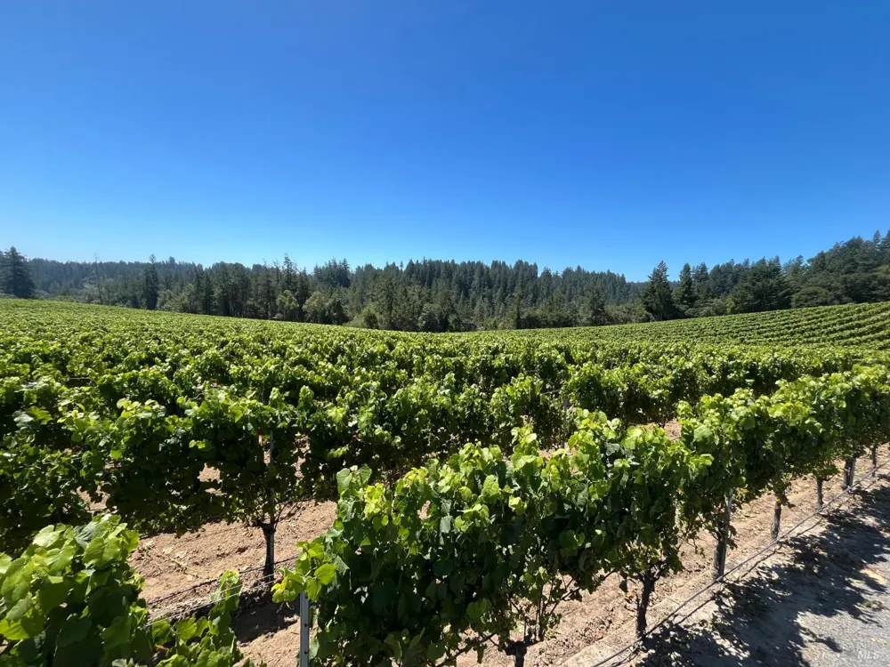11480 Graton Road Sebastopol, CA 95472
