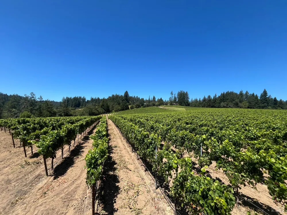 11480 Graton Road Sebastopol, CA 95472