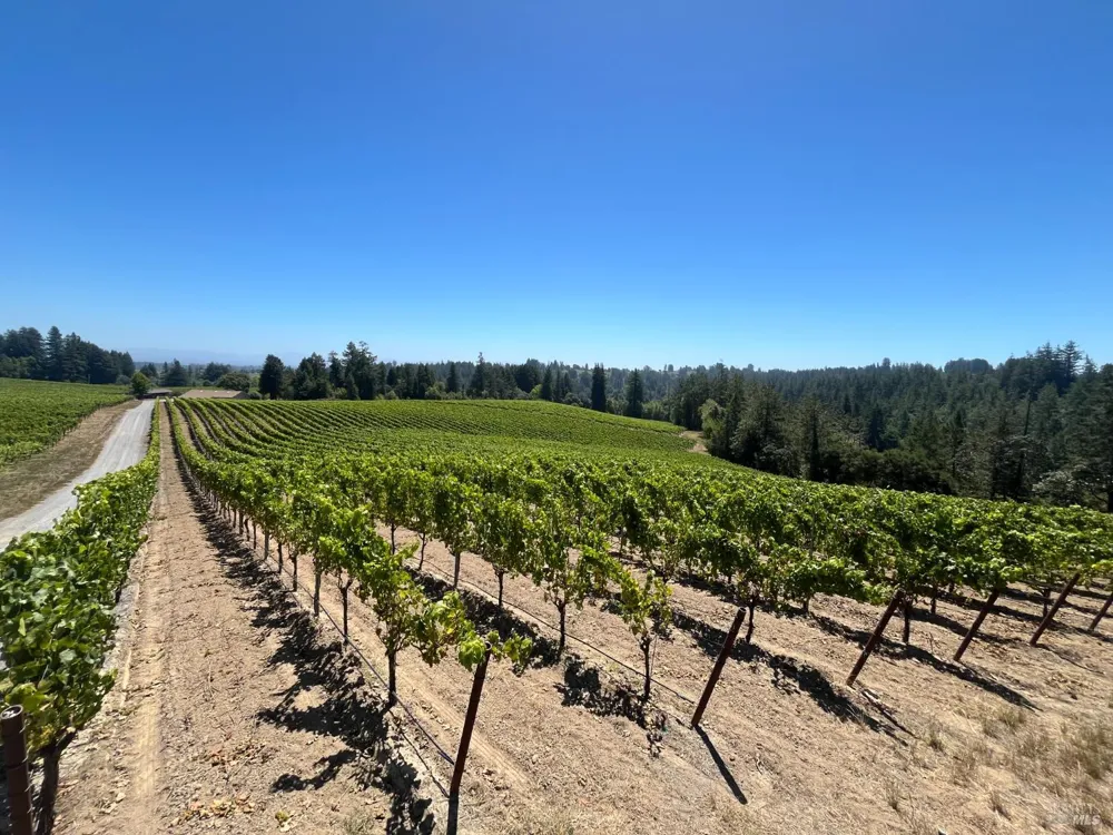 11480 Graton Road Sebastopol, CA 95472