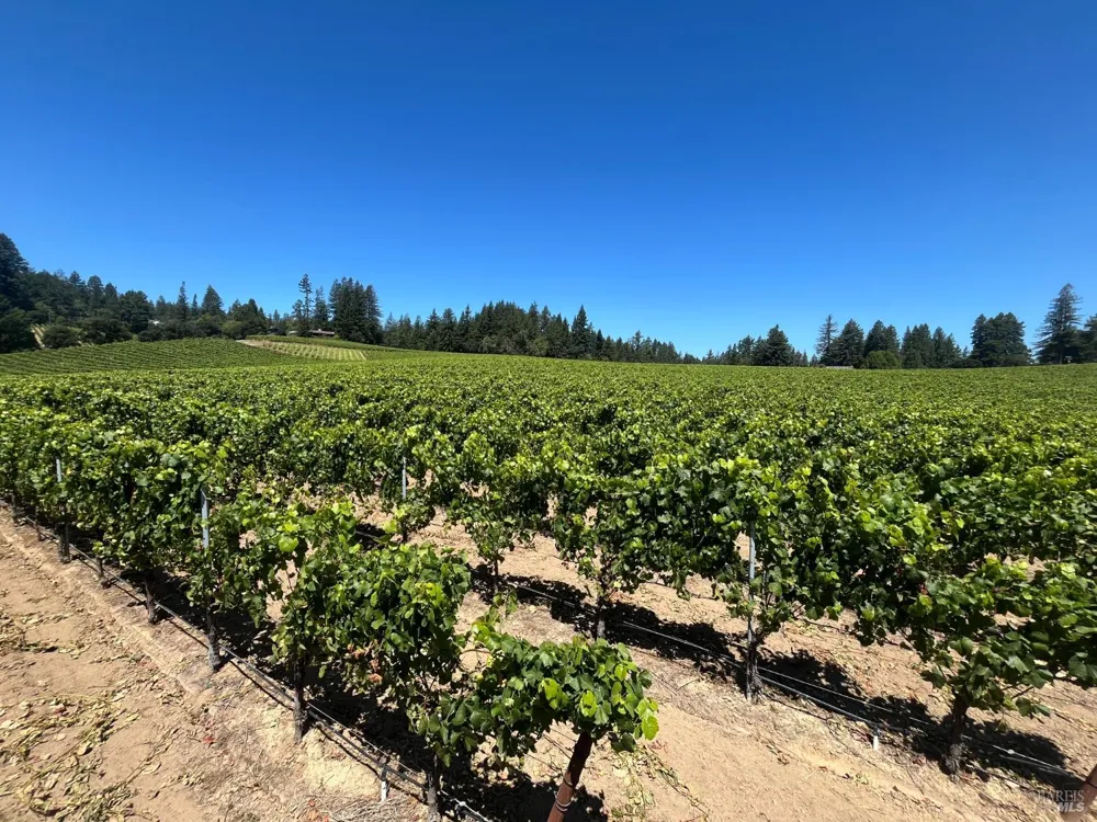 11480 Graton Road Sebastopol, CA 95472