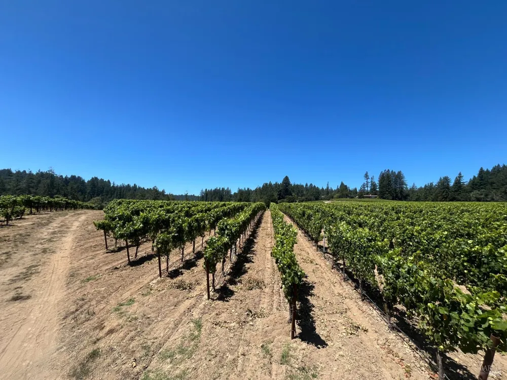 11480 Graton Road Sebastopol, CA 95472