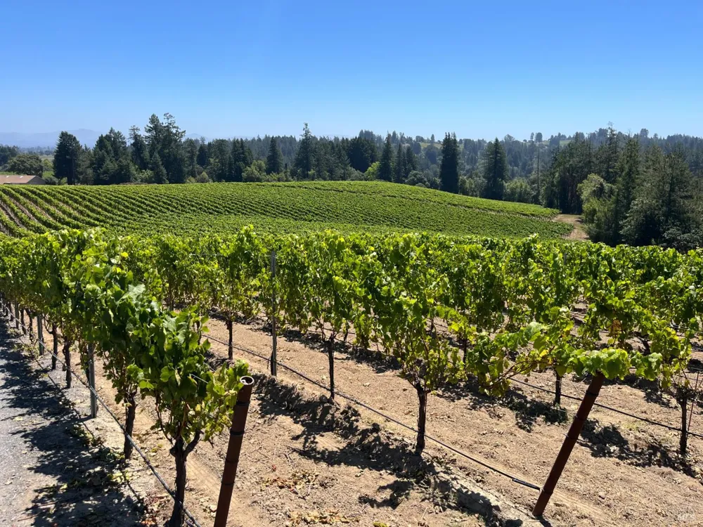 11480 Graton Road Sebastopol, CA 95472