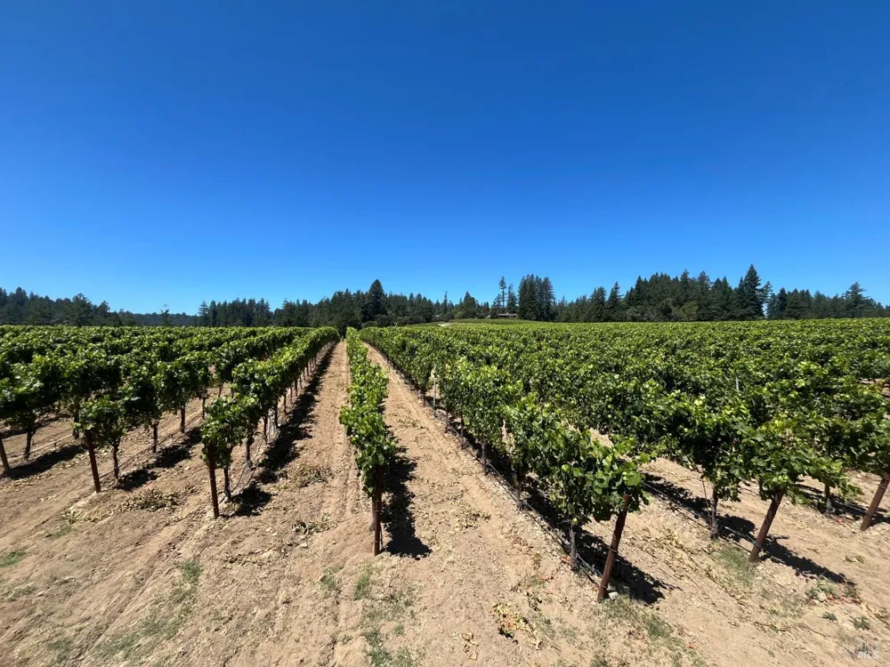 11480 Graton Road Sebastopol, CA 95472