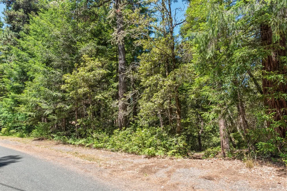 37870 Ocean Ridge Drive Gualala, CA 95445