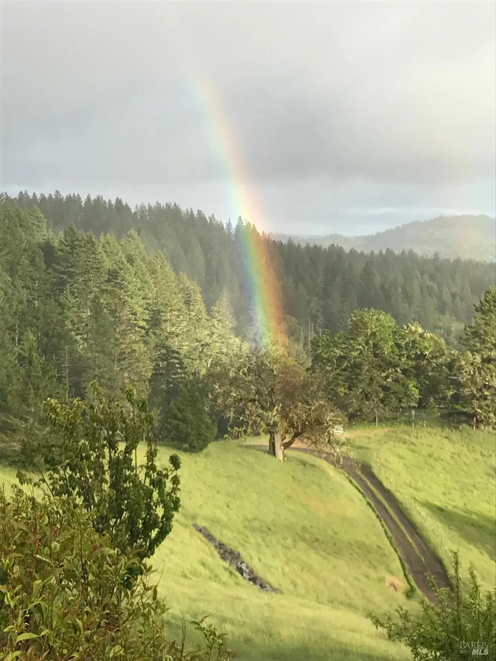 3550 Chinquapin Drive Willits, CA 95490