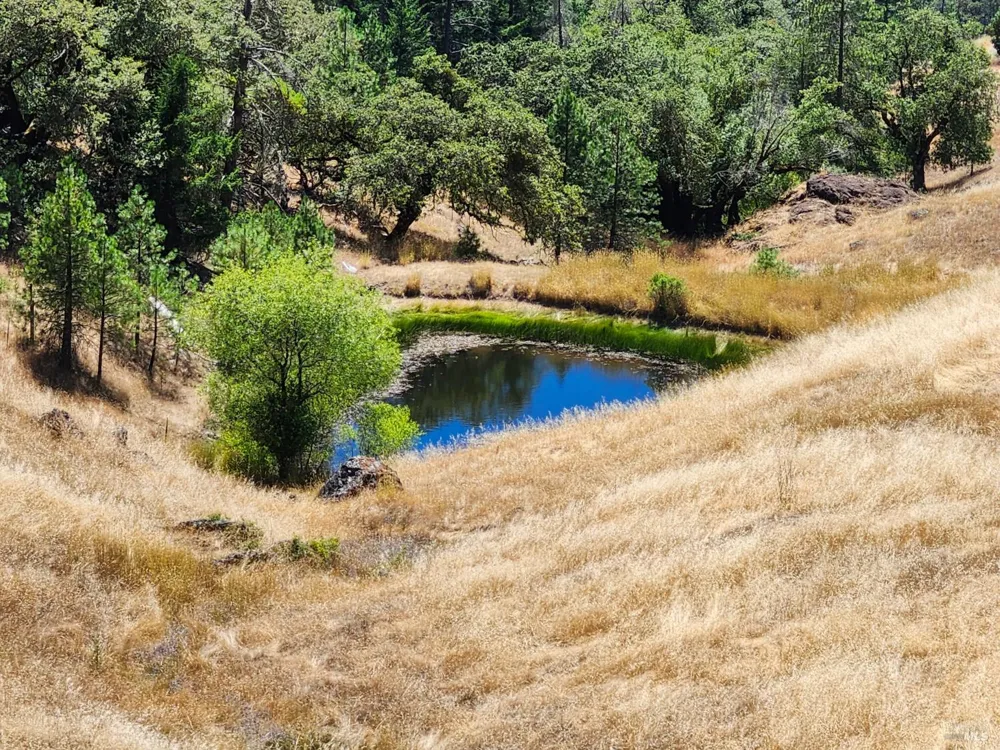 3550 Chinquapin Drive Willits, CA 95490