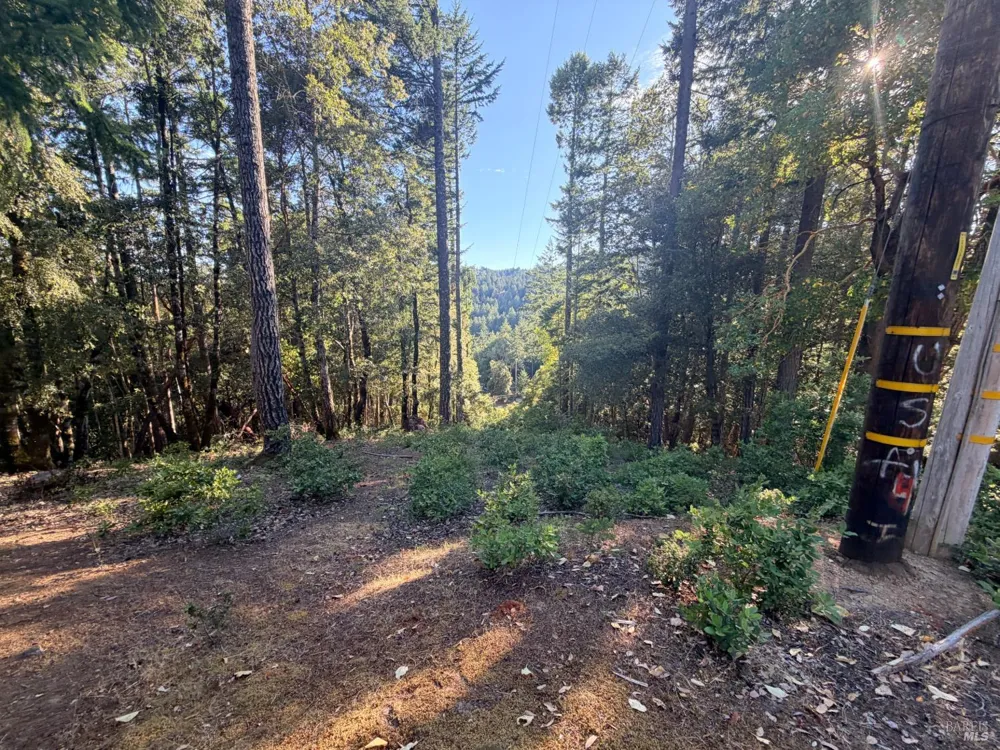 24193 Willow Lane Willits, CA 95490