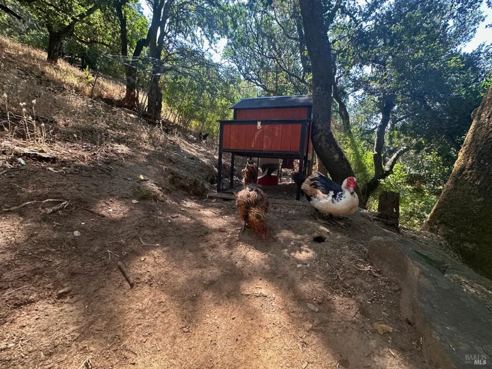 12067 Pleasant Way Sunol, CA 94586