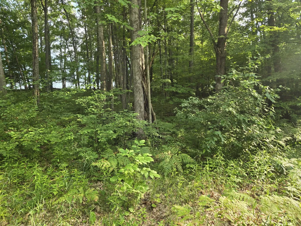 8207 Hunters Ridge Drive Irons, MI 49644