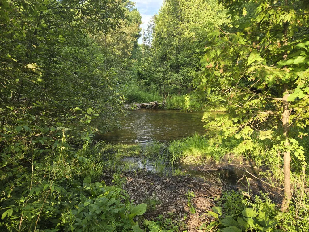 8207 Hunters Ridge Drive Irons, MI 49644