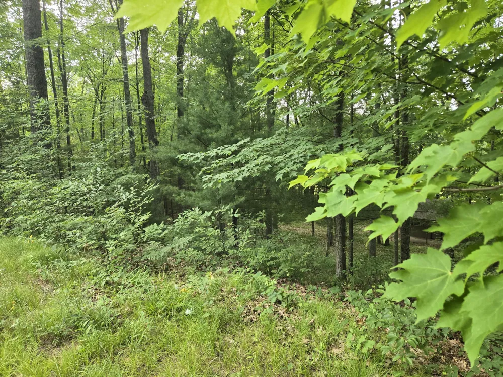 8207 Hunters Ridge Drive Irons, MI 49644