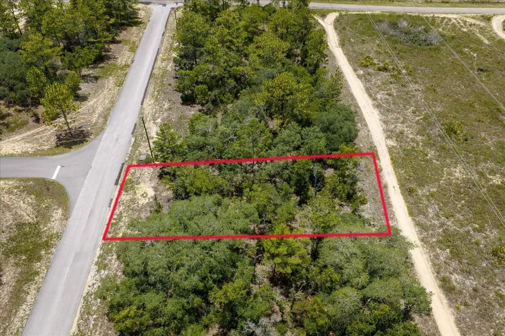 6830 SANDBORN LOOP Citrus Springs, FL 34433