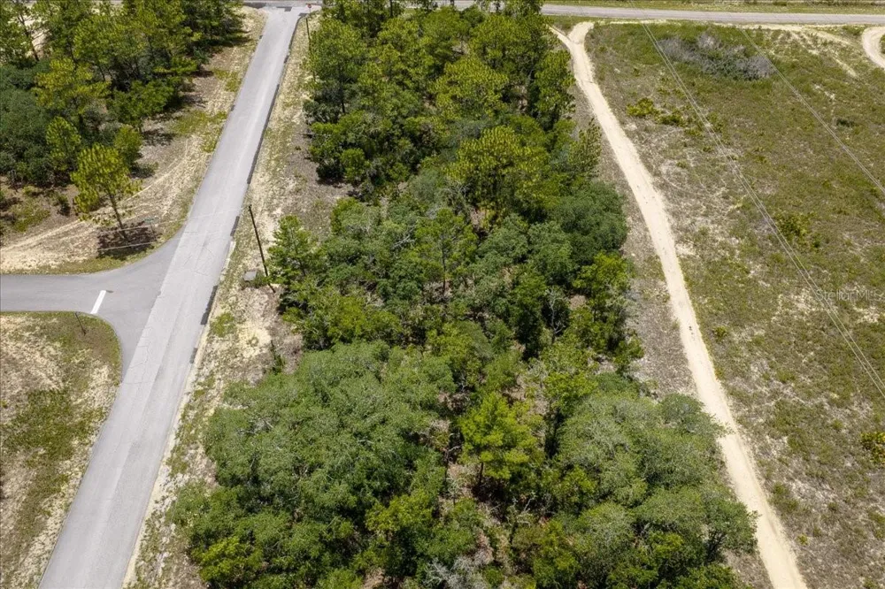 6830 SANDBORN LOOP Citrus Springs, FL 34433