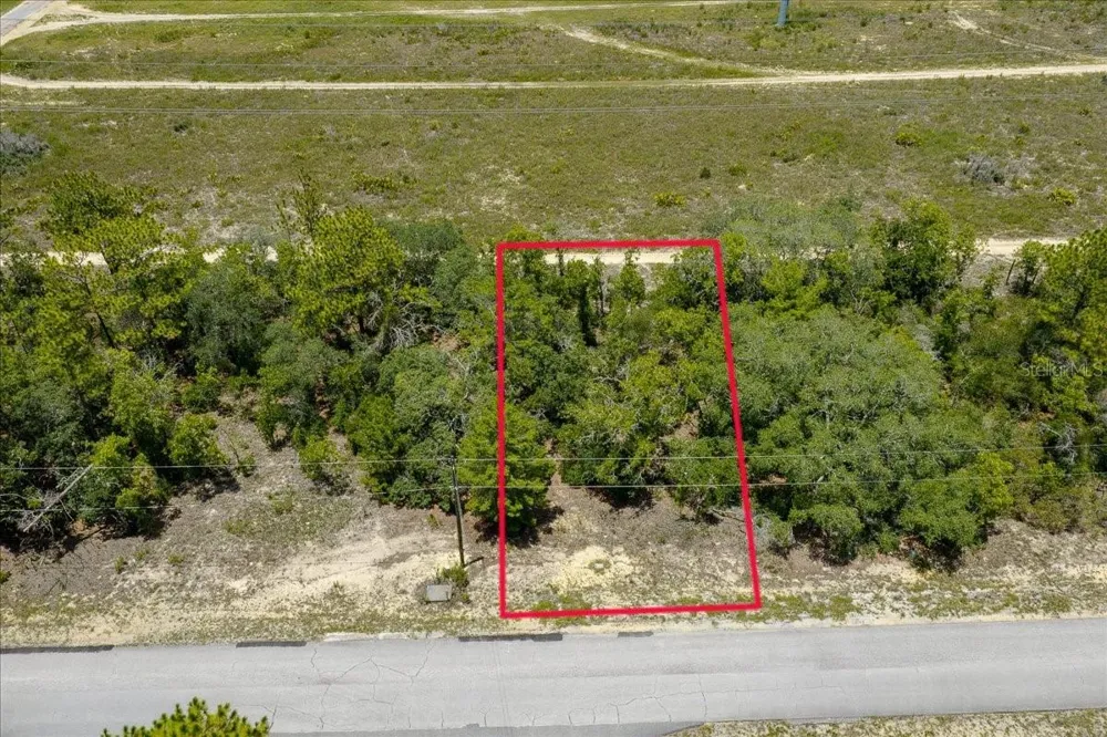 6830 SANDBORN LOOP Citrus Springs, FL 34433
