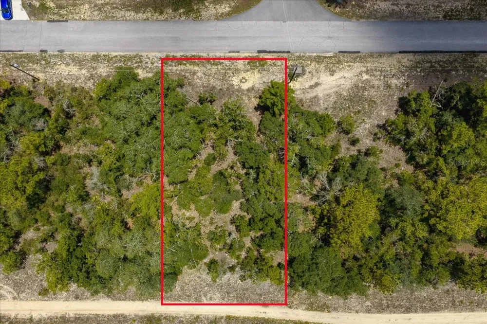6830 SANDBORN LOOP Citrus Springs, FL 34433