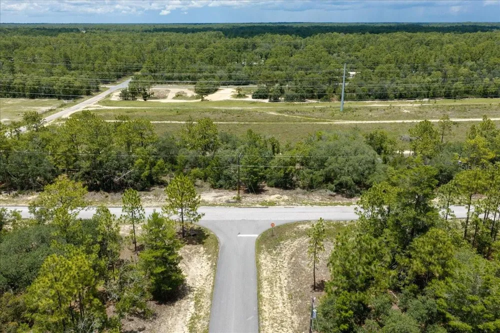 6830 SANDBORN LOOP Citrus Springs, FL 34433