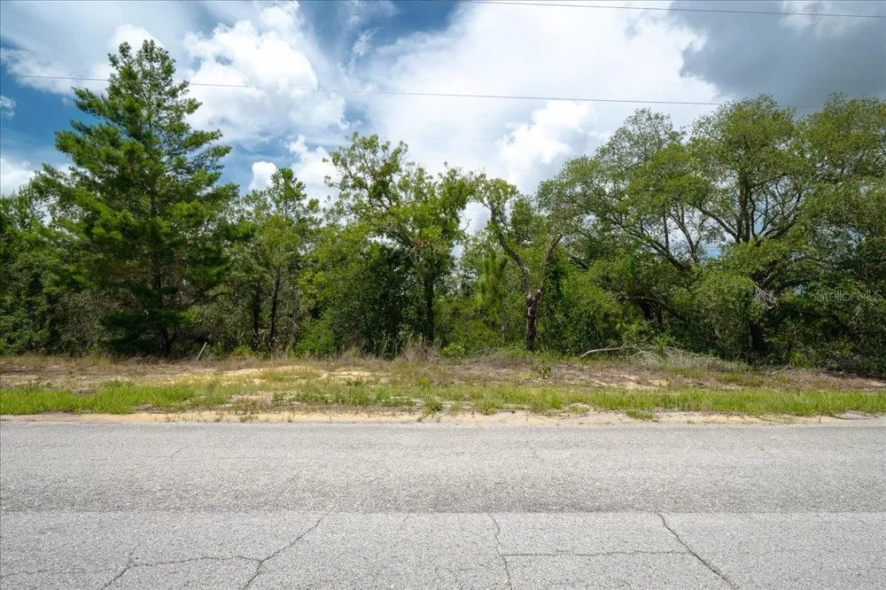 6830 SANDBORN LOOP Citrus Springs, FL 34433