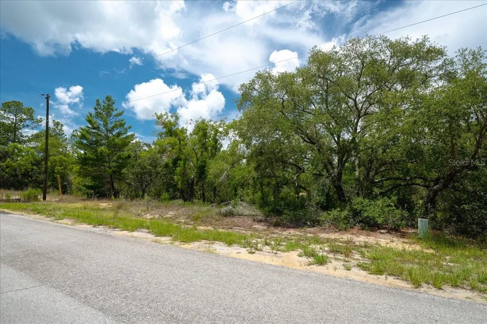 6830 SANDBORN LOOP Citrus Springs, FL 34433