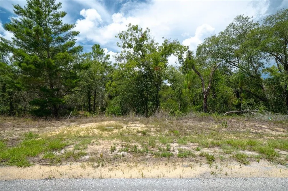 6830 SANDBORN LOOP Citrus Springs, FL 34433