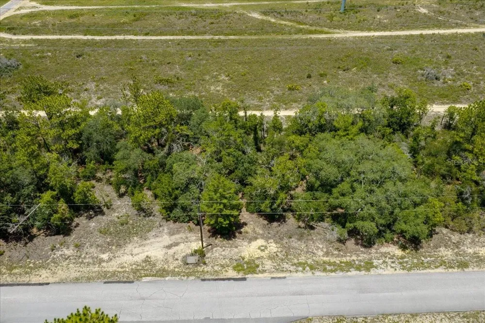 6830 SANDBORN LOOP Citrus Springs, FL 34433