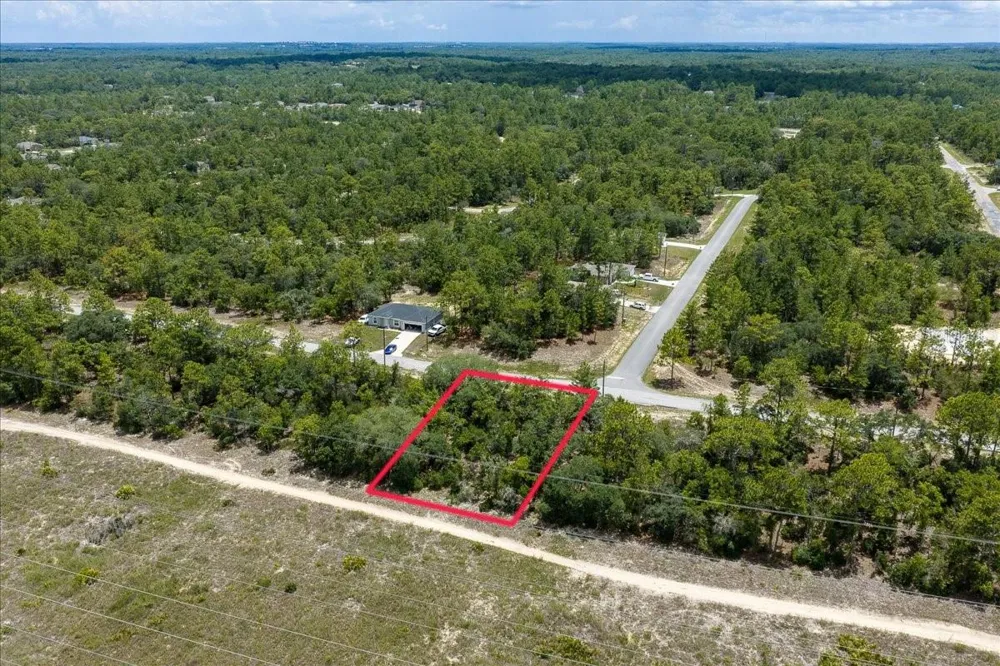6830 SANDBORN LOOP Citrus Springs, FL 34433