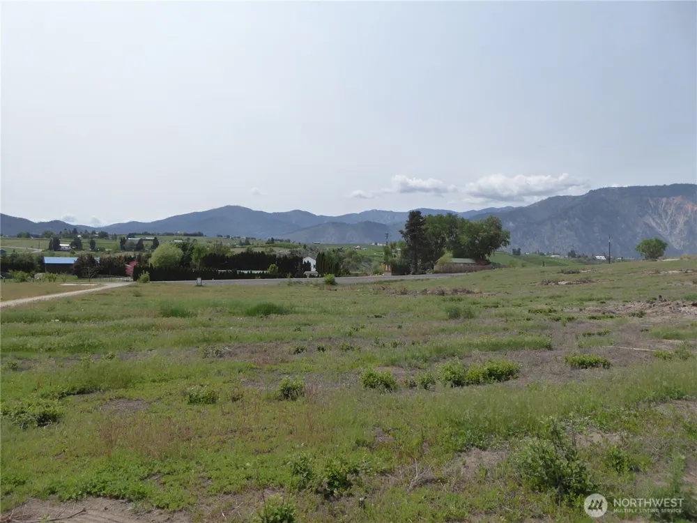 5 Roses View Lane Manson, WA 98831