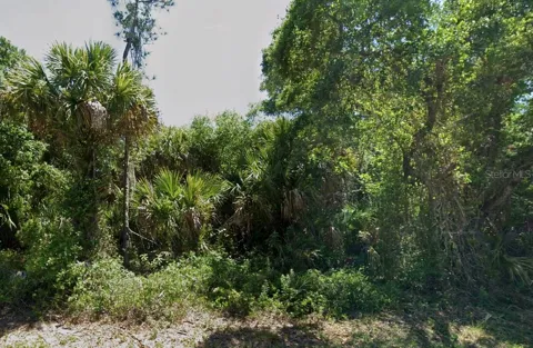 BOWEN AVENUE
