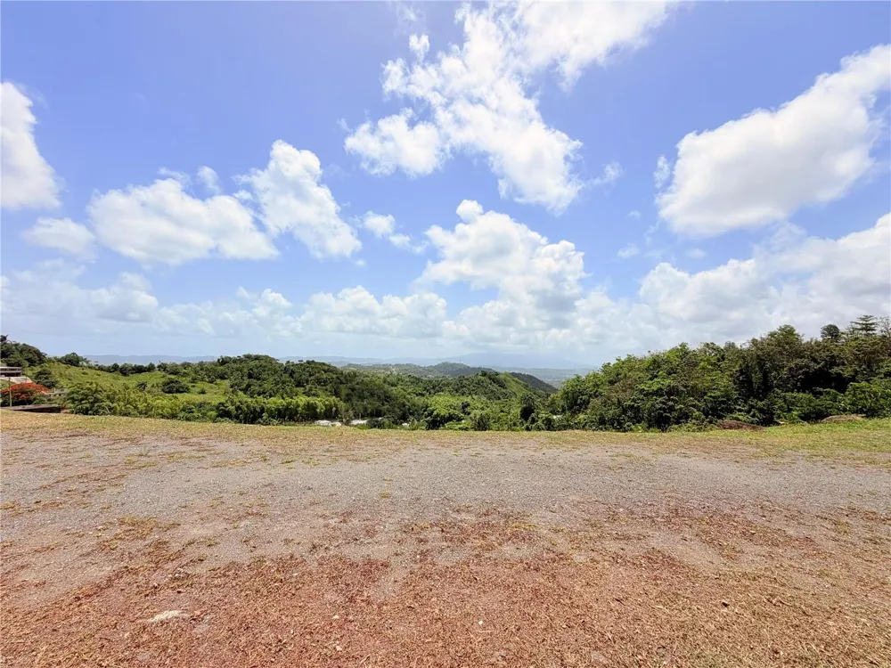 BO. QUEMADO San Lorenzo, PR 00754