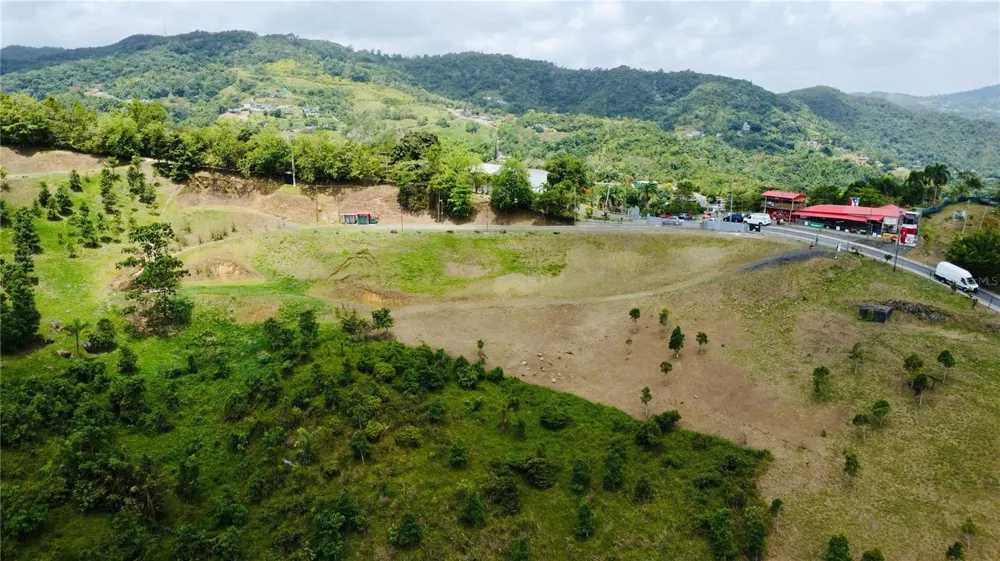 BO. QUEMADO San Lorenzo, PR 00754
