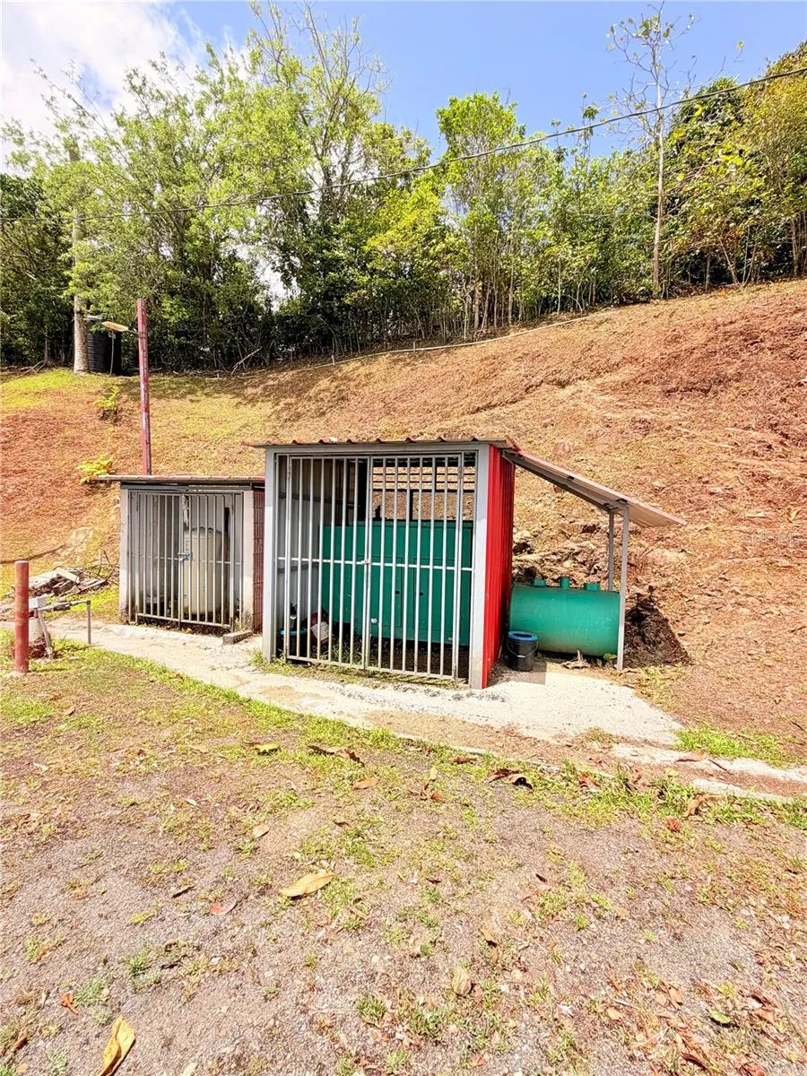 BO. QUEMADO San Lorenzo, PR 00754