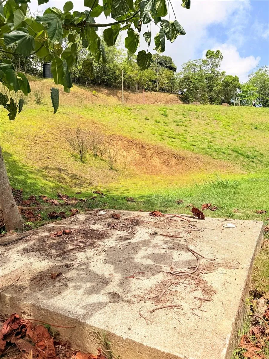 BO. QUEMADO San Lorenzo, PR 00754