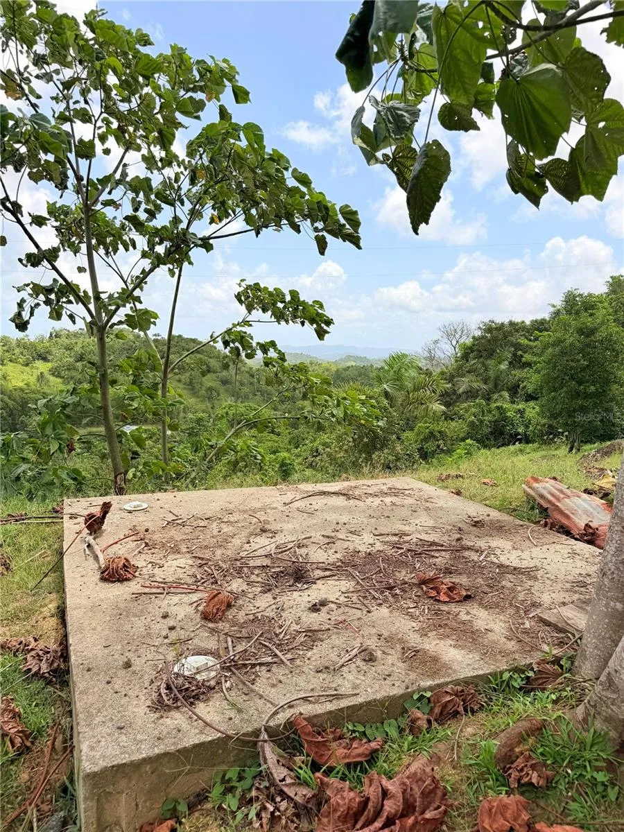 BO. QUEMADO San Lorenzo, PR 00754