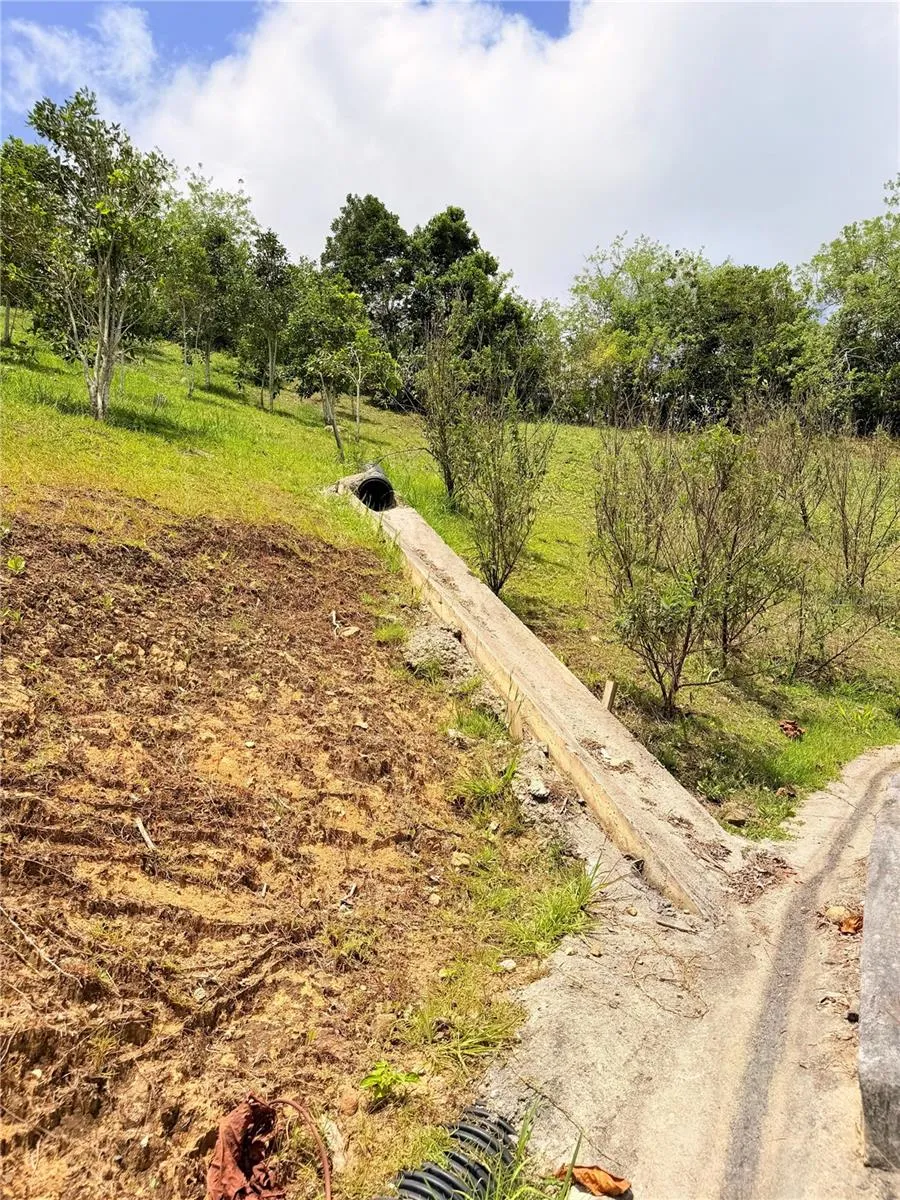 BO. QUEMADO San Lorenzo, PR 00754