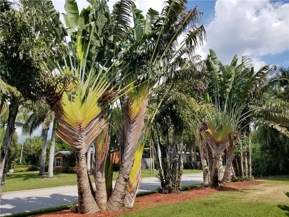 4000 BELLE VISTA DRIVE St Petersburg, FL 33706