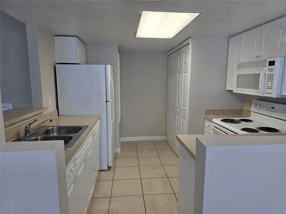 2419 FAN PALM DRIVE Davenport, FL 33897