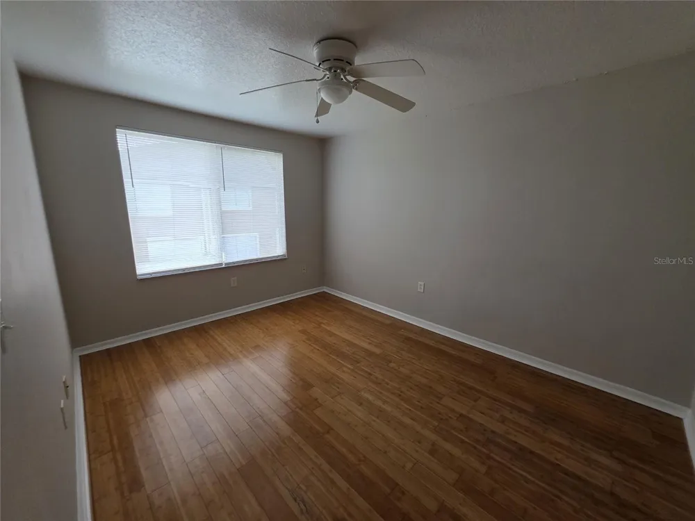 2419 FAN PALM DRIVE Davenport, FL 33897