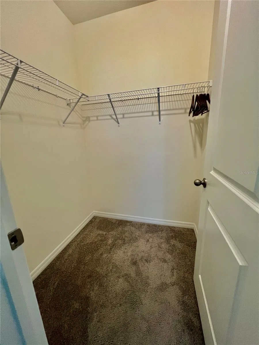 32557 TURTLE GRACE LOOP Wesley Chapel, FL 33545