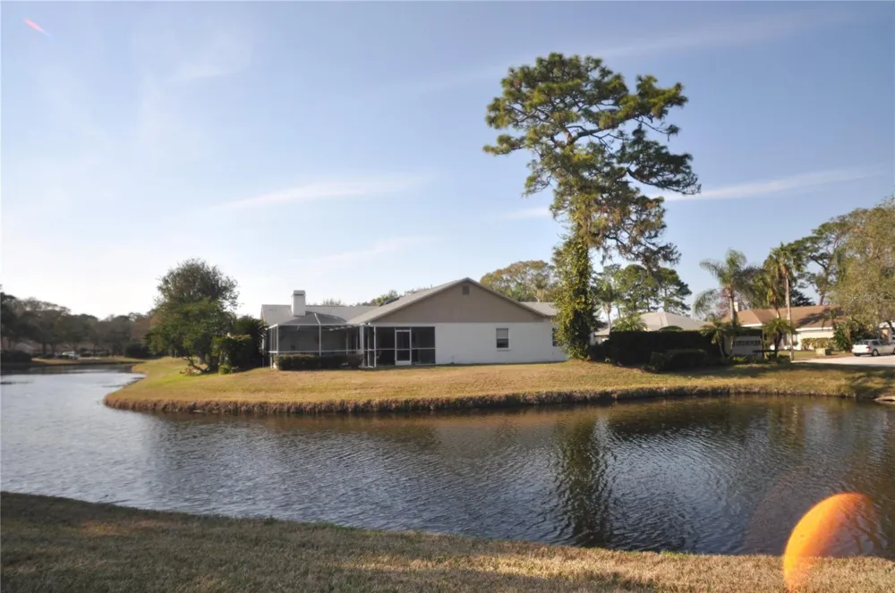 5565 SALEM SQUARE DRIVE Palm Harbor, FL 34685