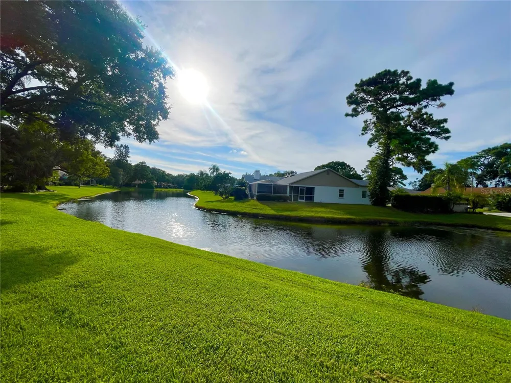 5565 SALEM SQUARE DRIVE Palm Harbor, FL 34685
