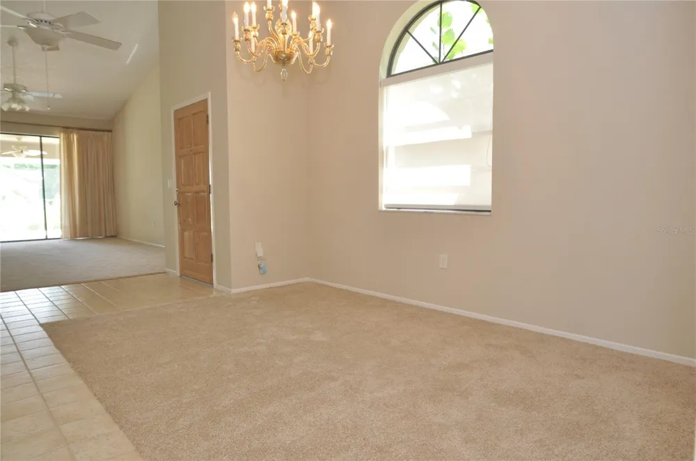 5565 SALEM SQUARE DRIVE Palm Harbor, FL 34685