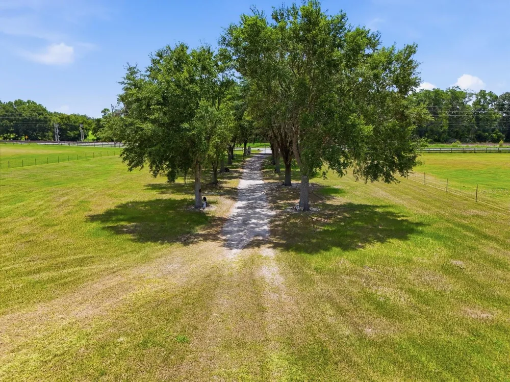 11748 NE JACKSONVILLE ROAD Anthony, FL 32617