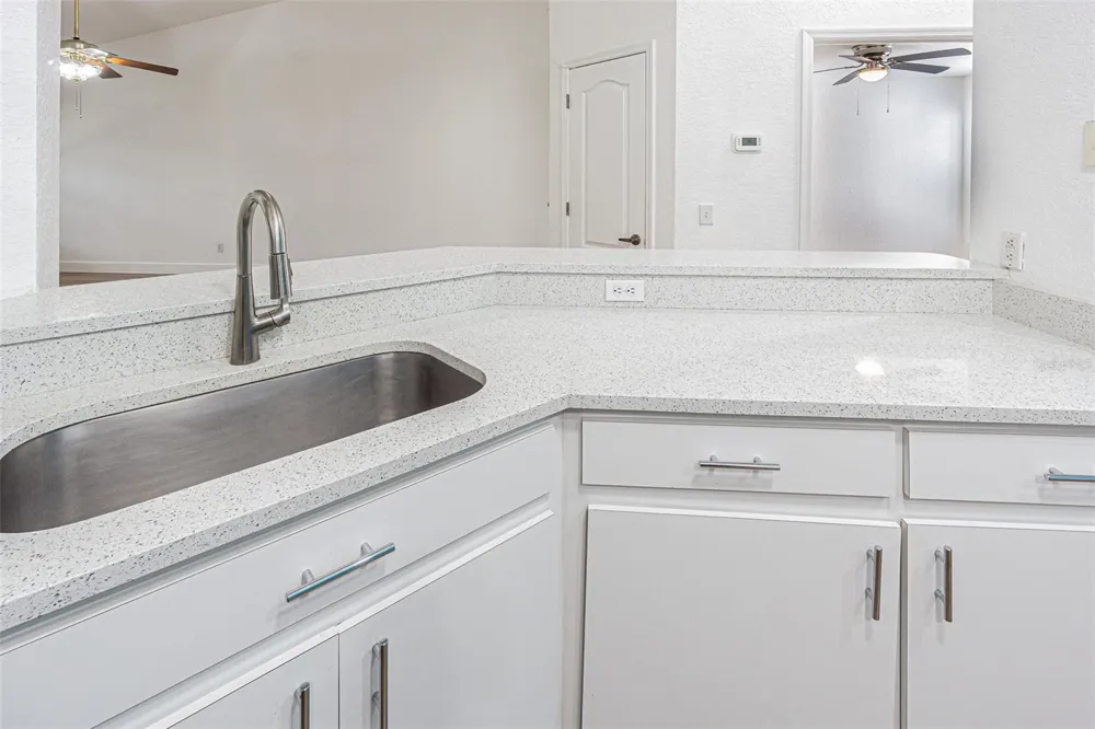 21542 CLUBSIDE LOOP Lutz, FL 33549