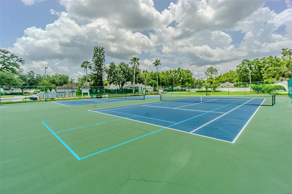 21542 CLUBSIDE LOOP Lutz, FL 33549