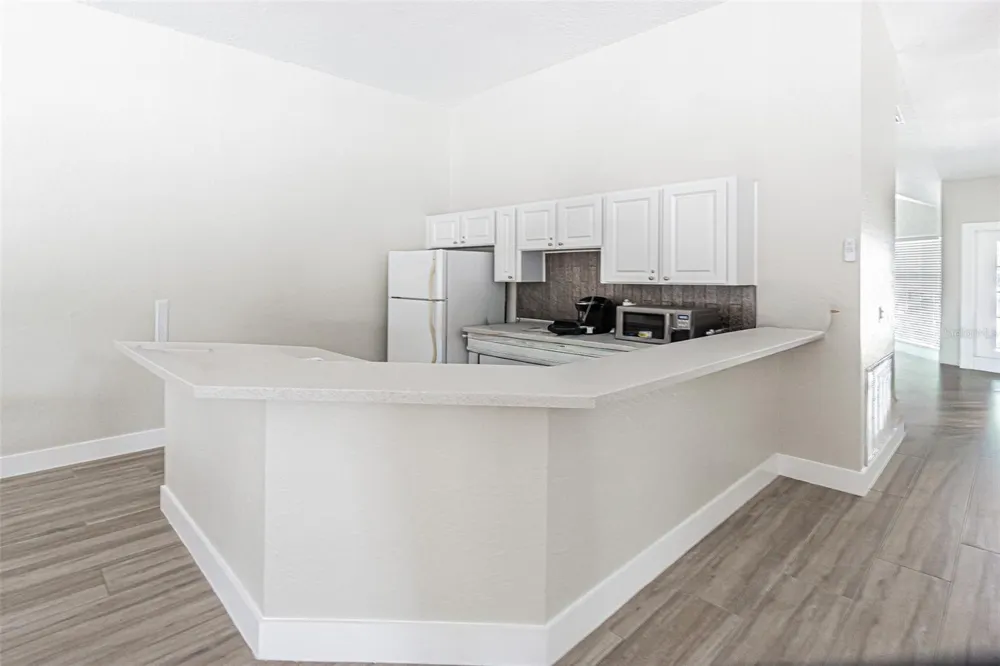 21542 CLUBSIDE LOOP Lutz, FL 33549