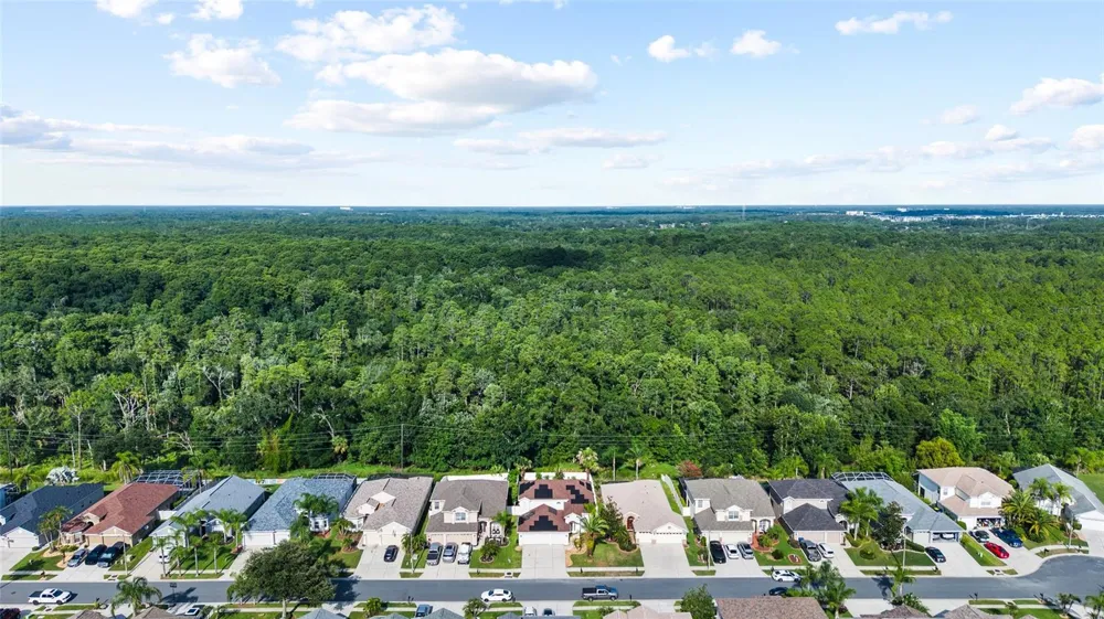 3602 MORGANS BLUFF COURT Land O Lakes, FL 34639