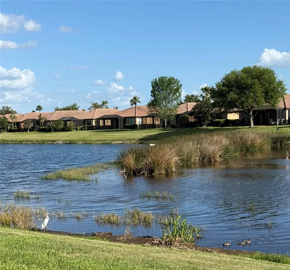 352 LAUREL FALLS DRIVE Apollo Beach, FL 33572