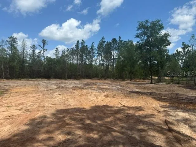 6123 OIL WELL ROAD Clermont, FL 34714
