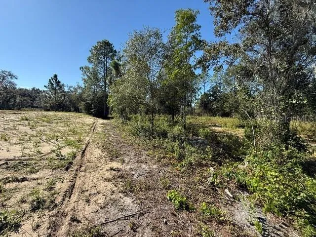 6123 OIL WELL ROAD Clermont, FL 34714