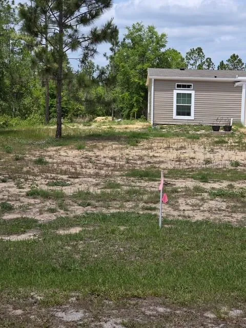 6123 OIL WELL ROAD Clermont, FL 34714